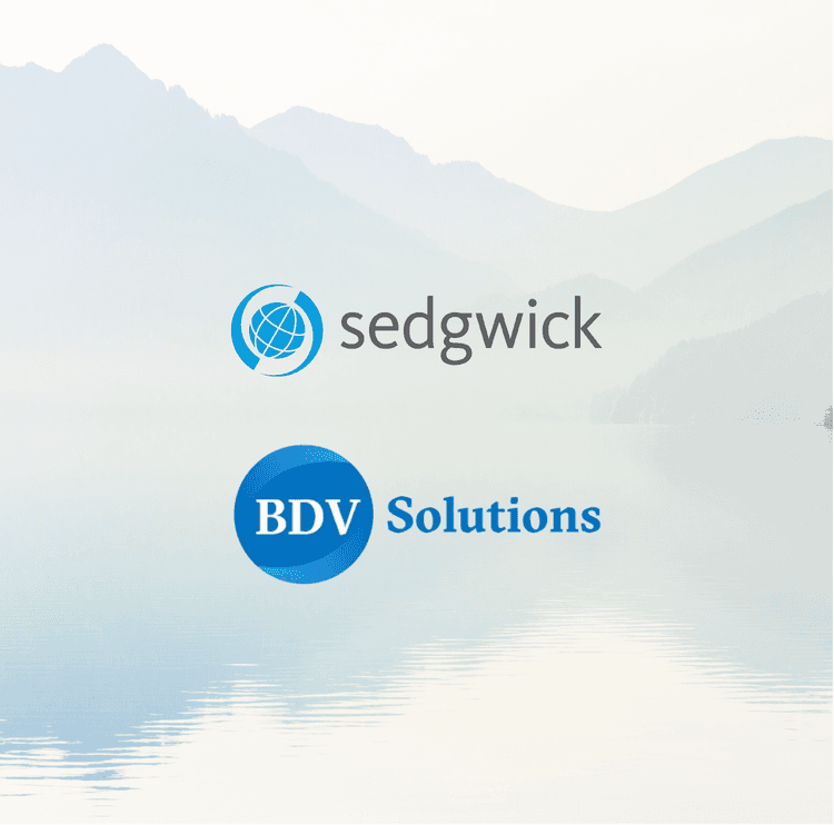 ACE Buyout Invests in Sedgwick and BDV Solutions 
